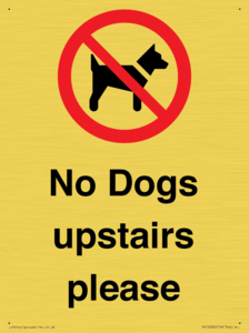 No Dogs upstairs please 